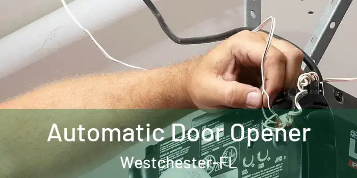  Automatic Door Opener Westchester-FL