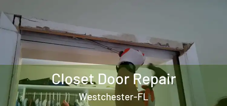  Closet Door Repair Westchester-FL