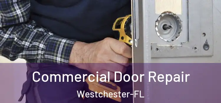  Commercial Door Repair Westchester-FL