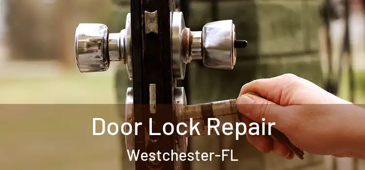  Door Lock Repair Westchester-FL