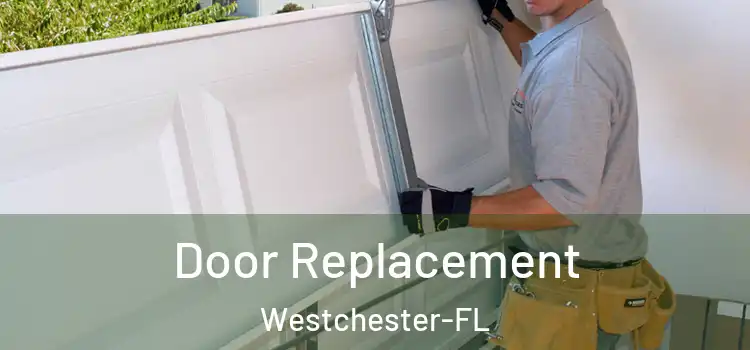  Door Replacement Westchester-FL