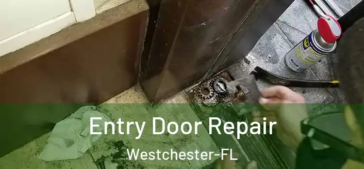  Entry Door Repair Westchester-FL