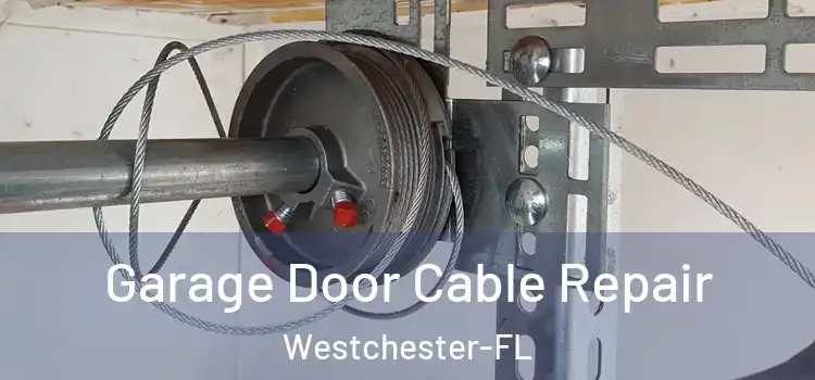  Garage Door Cable Repair Westchester-FL