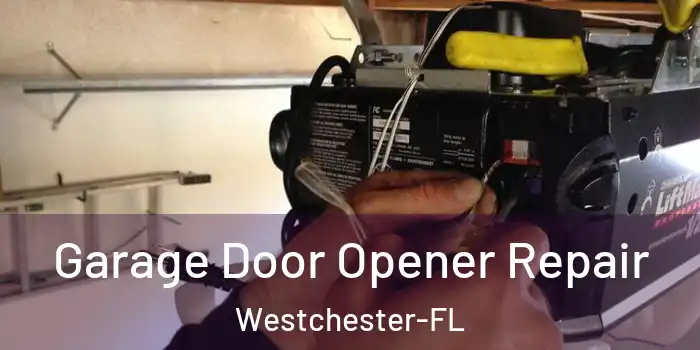  Garage Door Opener Repair Westchester-FL