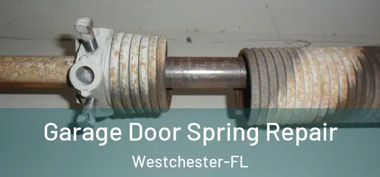  Garage Door Spring Repair Westchester-FL
