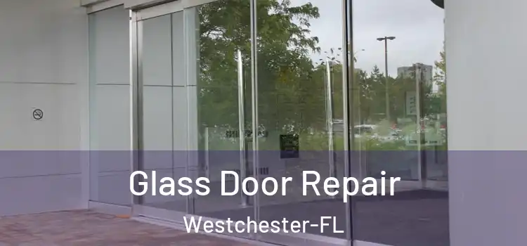 Glass Door Repair Westchester-FL