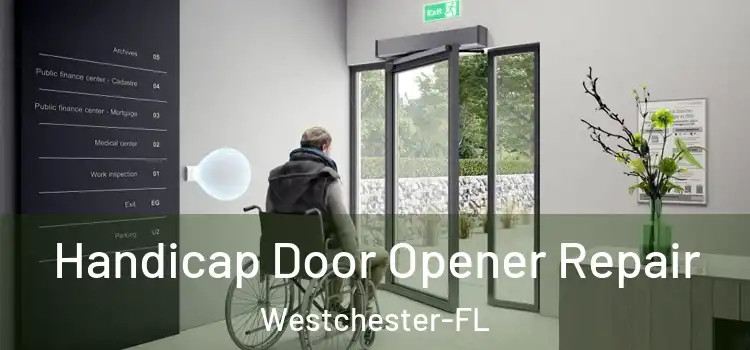  Handicap Door Opener Repair Westchester-FL