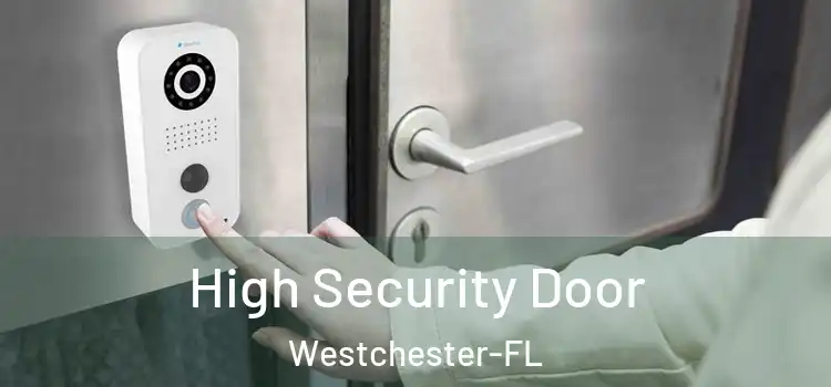  High Security Door Westchester-FL