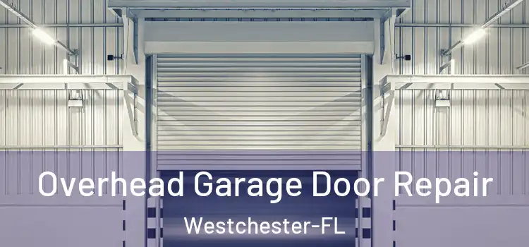  Overhead Garage Door Repair Westchester-FL