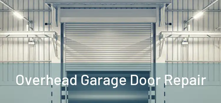  Overhead Garage Door Repair 