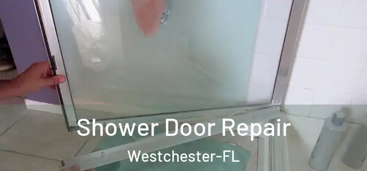  Shower Door Repair Westchester-FL