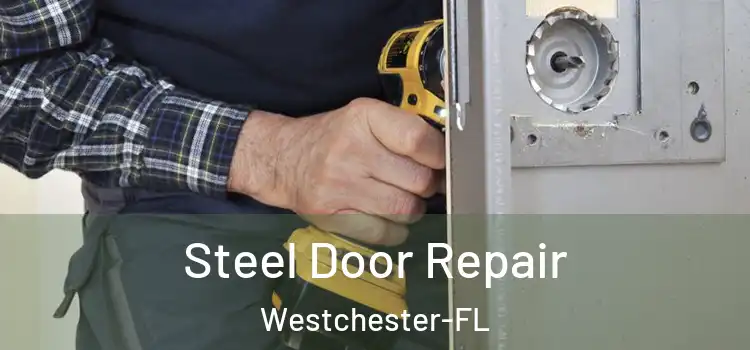  Steel Door Repair Westchester-FL