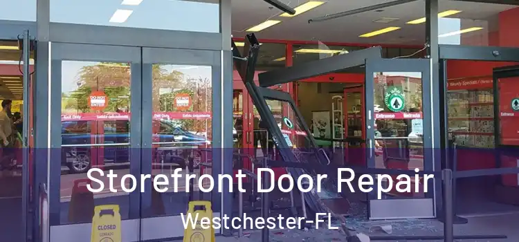  Storefront Door Repair Westchester-FL